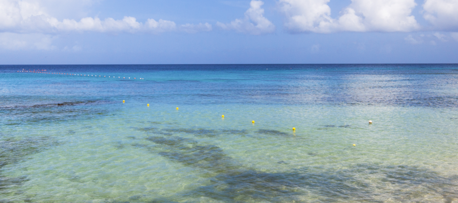 Barbados west coast at dusk